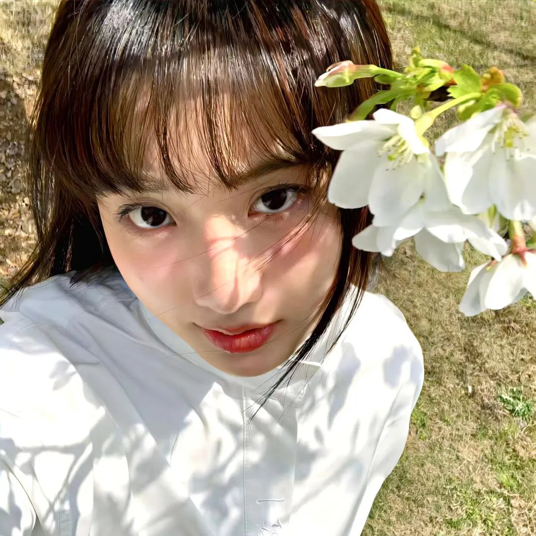 烽火血泪美人恩